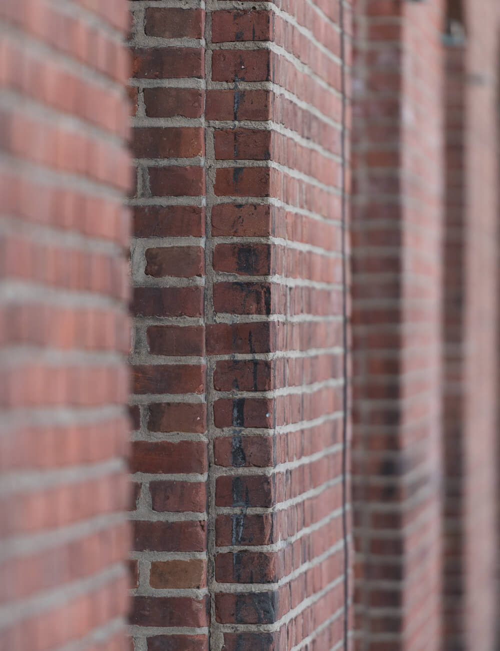 Baltimore Bricks Vertical